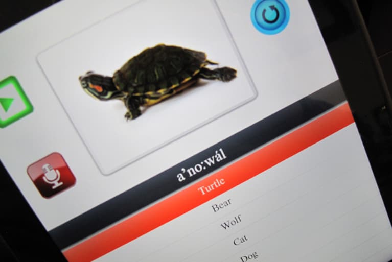 Image of Basic App